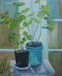 Geraniums oil painting web