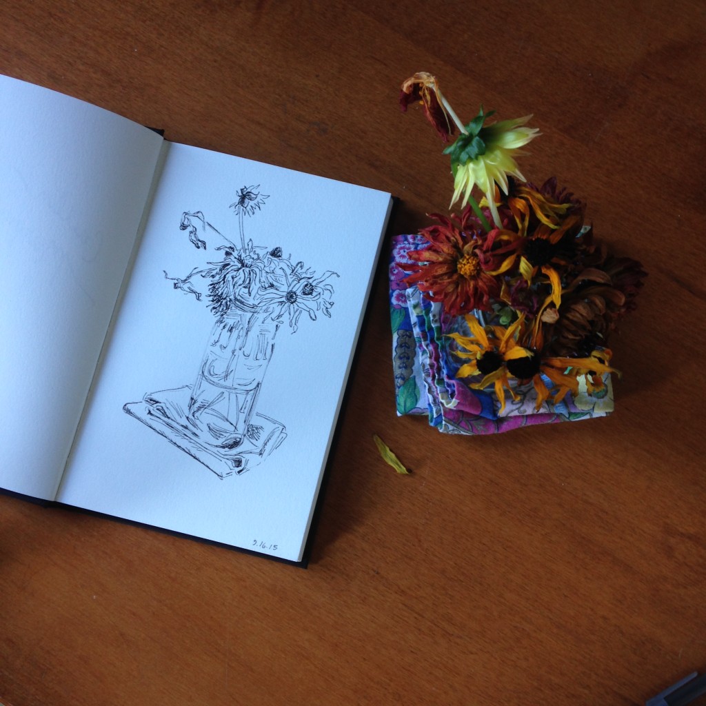 nearly daily doodles nearlydailydoodles caitlin marquis 2015