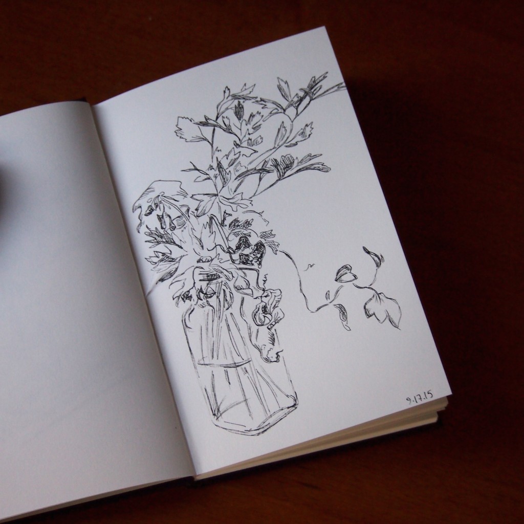 nearly daily doodles nearlydailydoodles dead flowers caitlin marquis 2015