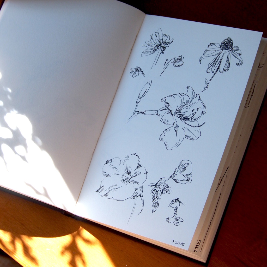 flowers nearly daily doodles nearlydailydoodles caitlin marquis 2015